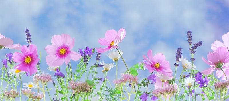 Flower Crown