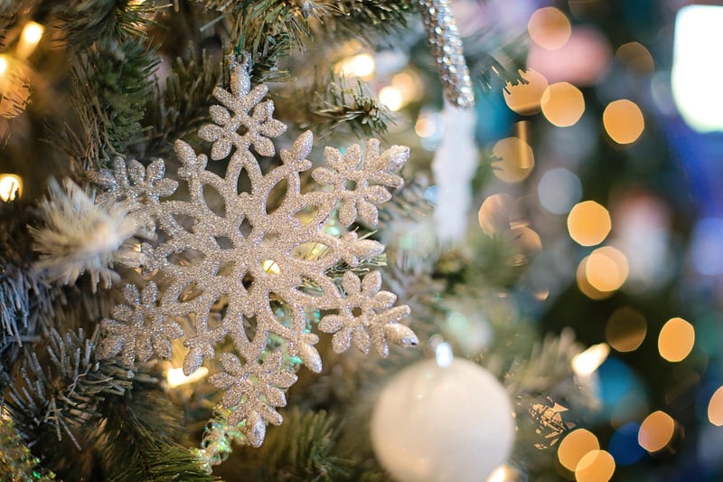 Nature-inspired ornament